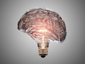 Glazen hersenen worden van binnen uit verlicht door een lampje 