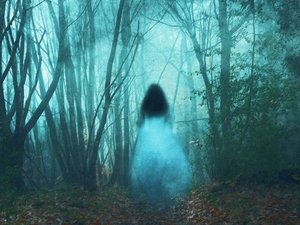 Een geest van een doorzichtig meisje in een witte jurk loopt een mistig, spookachtig bos in.