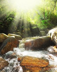 Een inspirerende waterval, schitterend in een zonnige lichtstraal, representeert de manier waariop inspiratie stroomt.cht