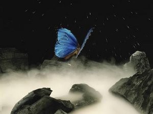 Een blauwe vlinder fladdert door regen over mistig water, in een diepzwarte nacht.