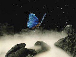 Een blauwe vlinder fladdert door regen over mistig water, in een diepzwarte nacht.