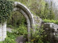 Een ruïne van een stenen poort, overwoekerd door planten, herinnering aan een vorig leven.