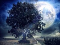 Een droom: een magisch nachtlandschap, met een enorme volle maan achter een enorme boom