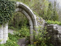 een oude stenen poort met een afgebrokkelde muur, overwoekerd door onkruid