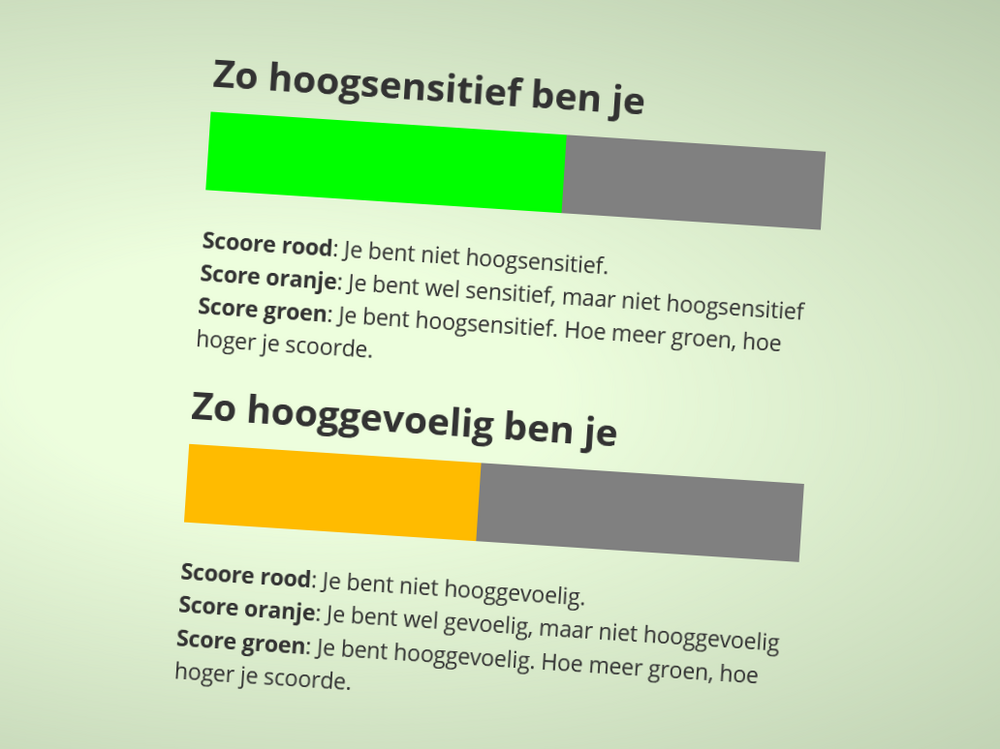 Je ziet de testuitslag van de dubbele HSP test. Een groen balkje laat zien dat je hoogsensitief bent, een oranje balkje zegt dat je gevoelig bent, maar niet erg hooggevoelig bent. 