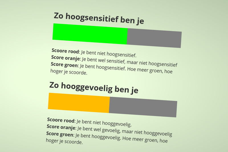 Je ziet de testuitslag van de dubbele HSP test. Een groen balkje laat zien dat je hoogsensitief bent, een oranje balkje zegt dat je gevoelig bent, maar niet erg hooggevoelig bent. 