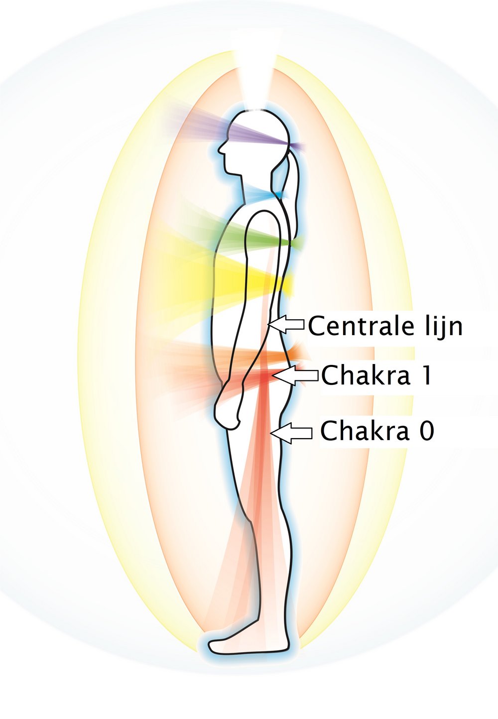Dit is een tekening van hoe chakra 0 ontstaat uit de centrale lijn die bij het hoofd binnen komt, en je ziet ook chakra 1. 