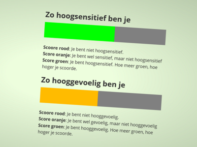 Je ziet de uitslag van de dubbele HSP-test: een groen balkje laat zien dat je hoogsensitief bent, een oranje balkje zegt dat je gevoelig bent, maar niet hooggevoelig. 