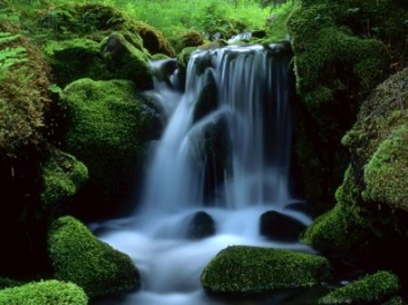 Een waterval van licht, op een geborgen plek in het bos. Hier stroomt het leven