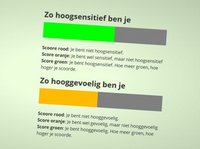 Testuitslag: Groen voor hoogsensitiviteit, oranje voor hooggevoeligheid. Deze persoon is hoogsensitief en gevoelig, niet hooggevoelig.