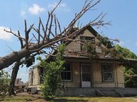 Een huis met een trauma: Een boom is op het dak gevallen