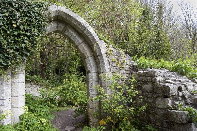 Een stenen poort omringd door planten en mos.