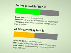 De uitslag van de dubbele HSP test: Je ziet twee balkjes. Groen voor hoogsenstitief, oranje voor hooggevoelig. Deze persoon is hoogsensitief en gevoelig, maar niet hooggevoelig.