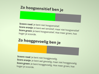 De uitslag van de dubbele HSP test: Je ziet twee balkjes. Groen voor hoogsenstitief, oranje voor hooggevoelig. Deze persoon is hoogsensitief en gevoelig, maar niet hooggevoelig.