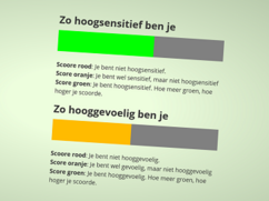 De uitslag van een dubbele HSP-test. Deze persoon is net iets meet hoogsensitief dan hooggevoelig (hypervigilant).