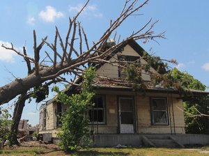 Een huis met eenn trauma, er is een boom op het dak gevallen. De kern van dit trauma: Je kunt het dak pas repareren als die boom er af is.